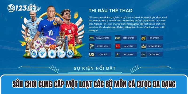 Sân chơi cung cấp một loạt các bộ môn cá cược đa dạng
